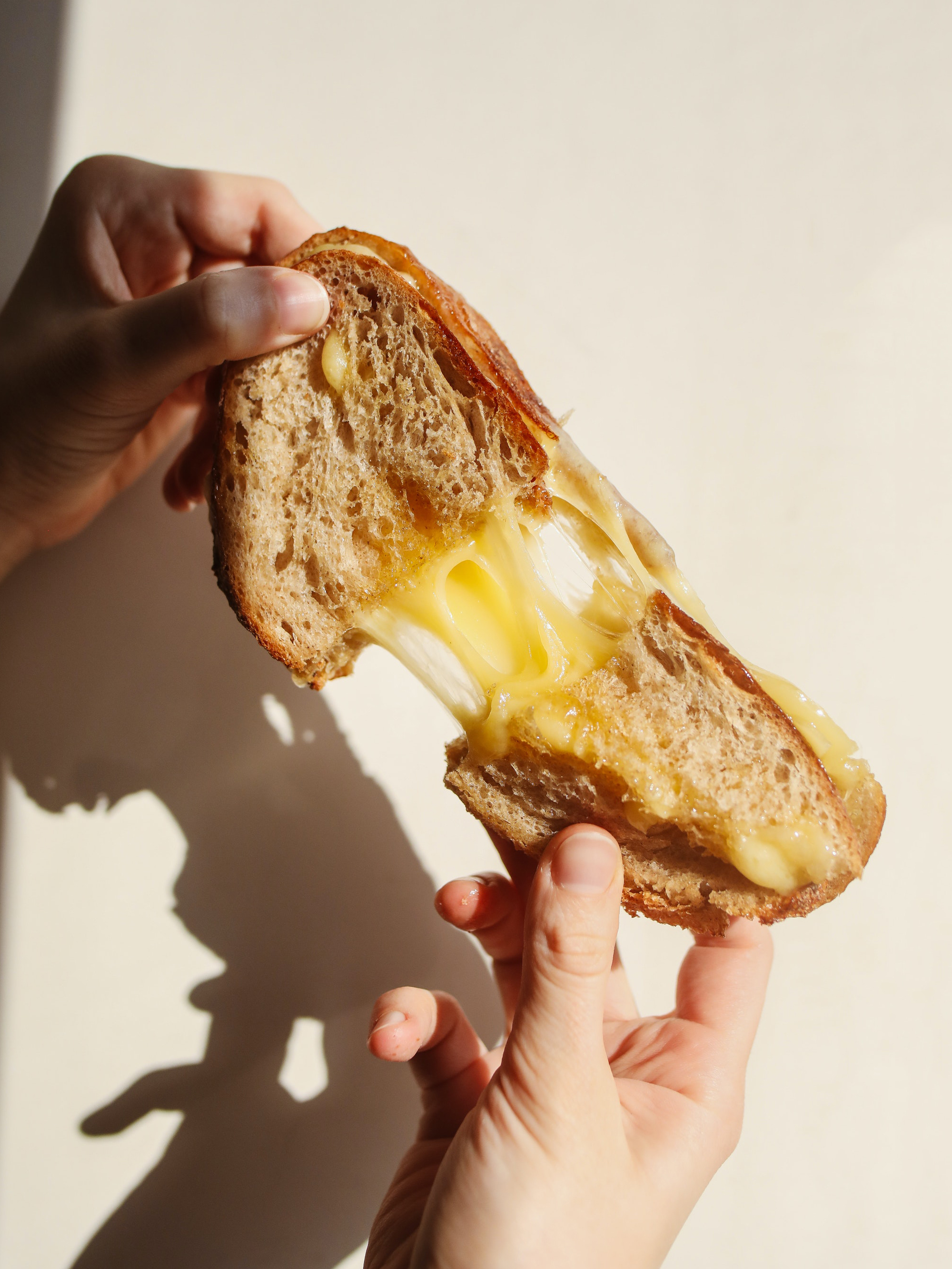 Two hands pulling apart a grilled cheese sandwich in front of a white background.